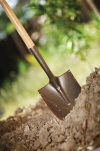 Even Better Compost with Worms Image